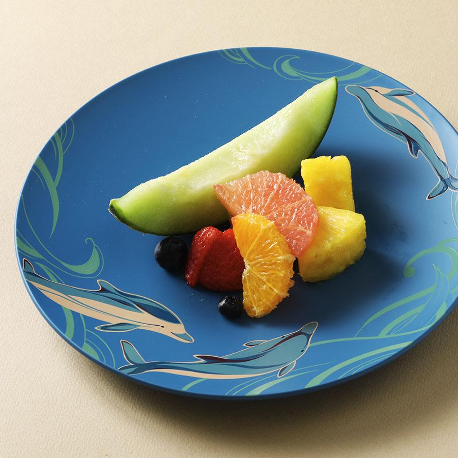 Sea Plate Dolphin（Umi sara Iruka）